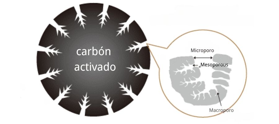 البنية المسامية للكربون المنشط
