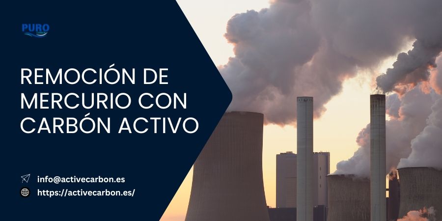 Remocion de Mercurio con Carbon Activo