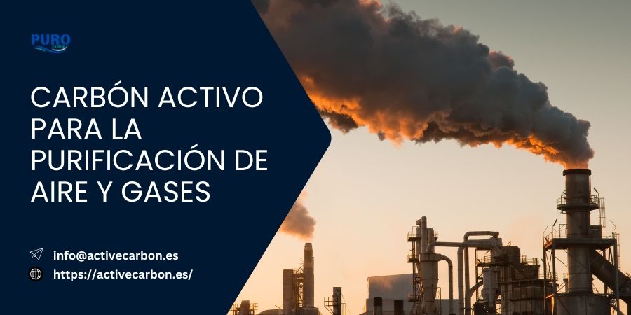 Carbon Activo para la Purificacion de Aire y Gases