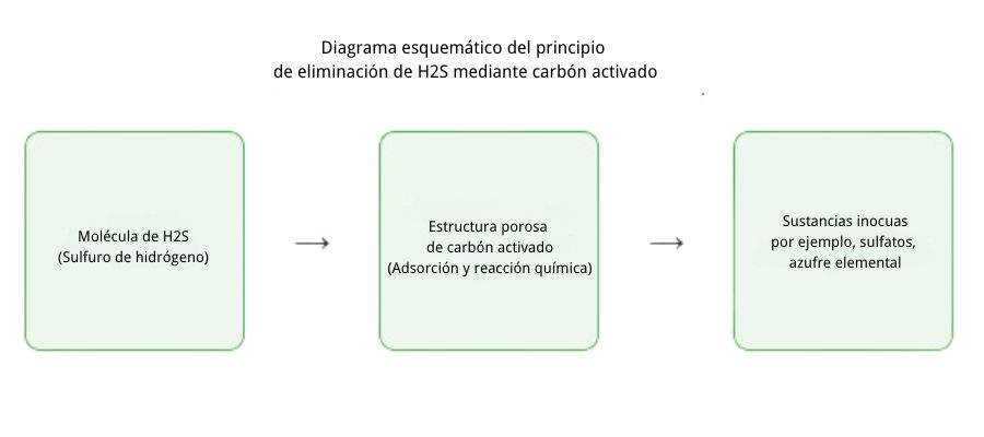 Diagrama esquematico del principio de eliminacion de H2S mediante carbon activado