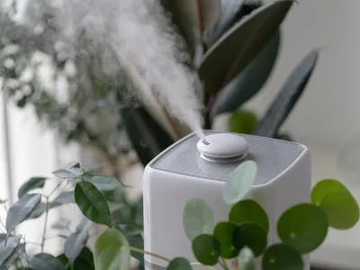 Carbon activado de cascara de coco para purificar el aire