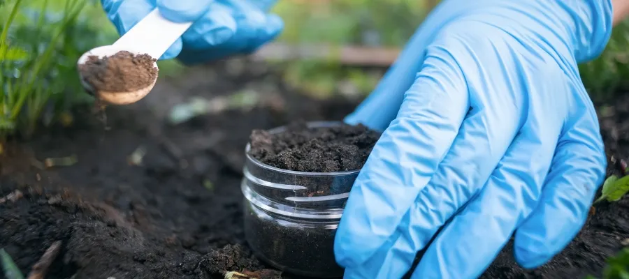 Por que utilizar carbon activado en la remediacion del suelo