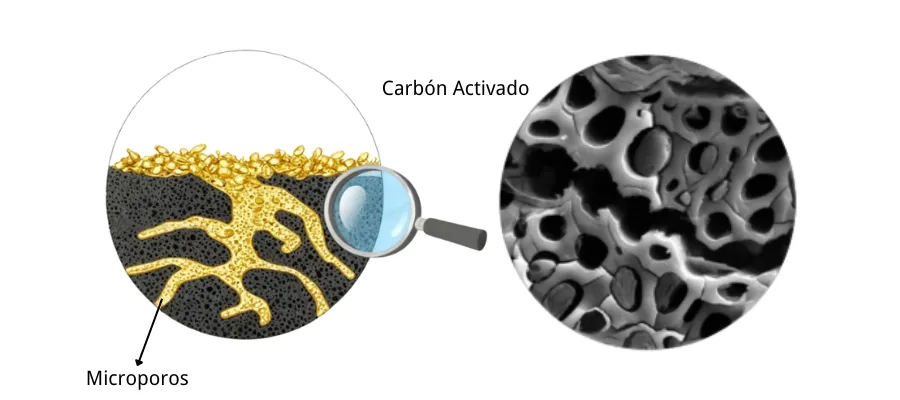 Principio de adsorcion del oro por el carbon activo