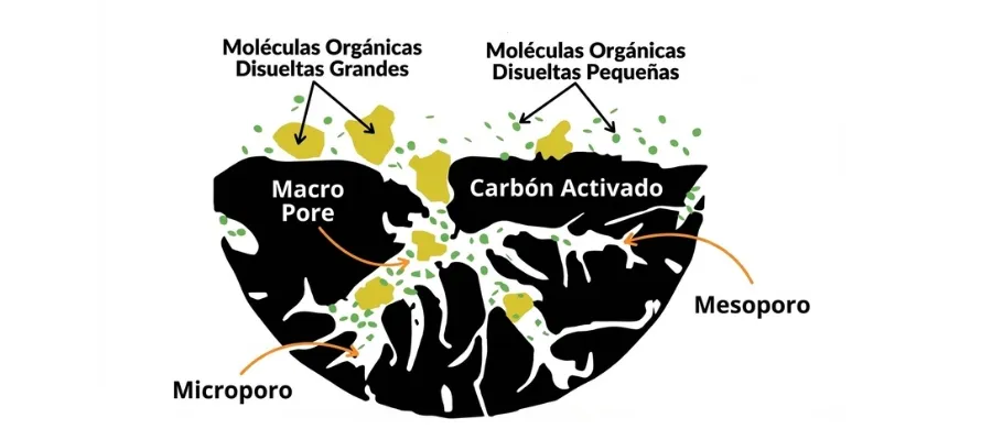 Principios de purificacion del agua mediante carbon activado