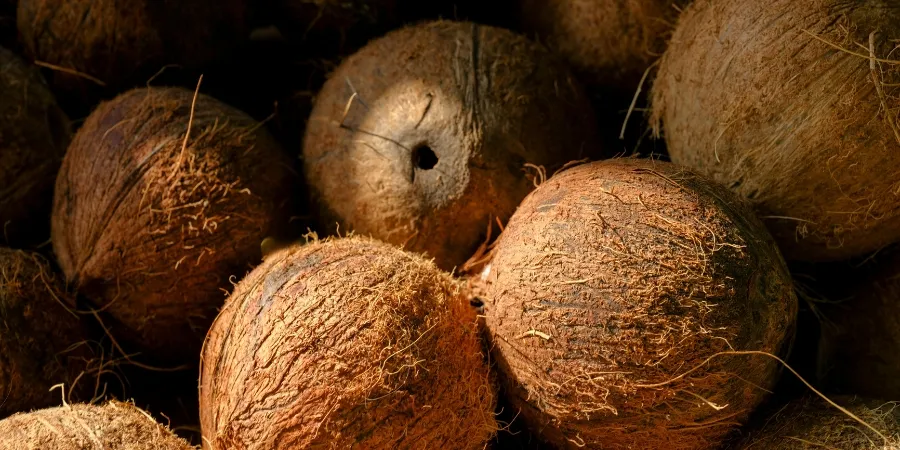 Ventajas de las materias primas de cascara de coco